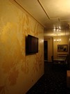 Dekorativni_omitka__s_pouzitim_metalickych_barev__ktere_pracuji__pri_svetle_a_poloutme_4